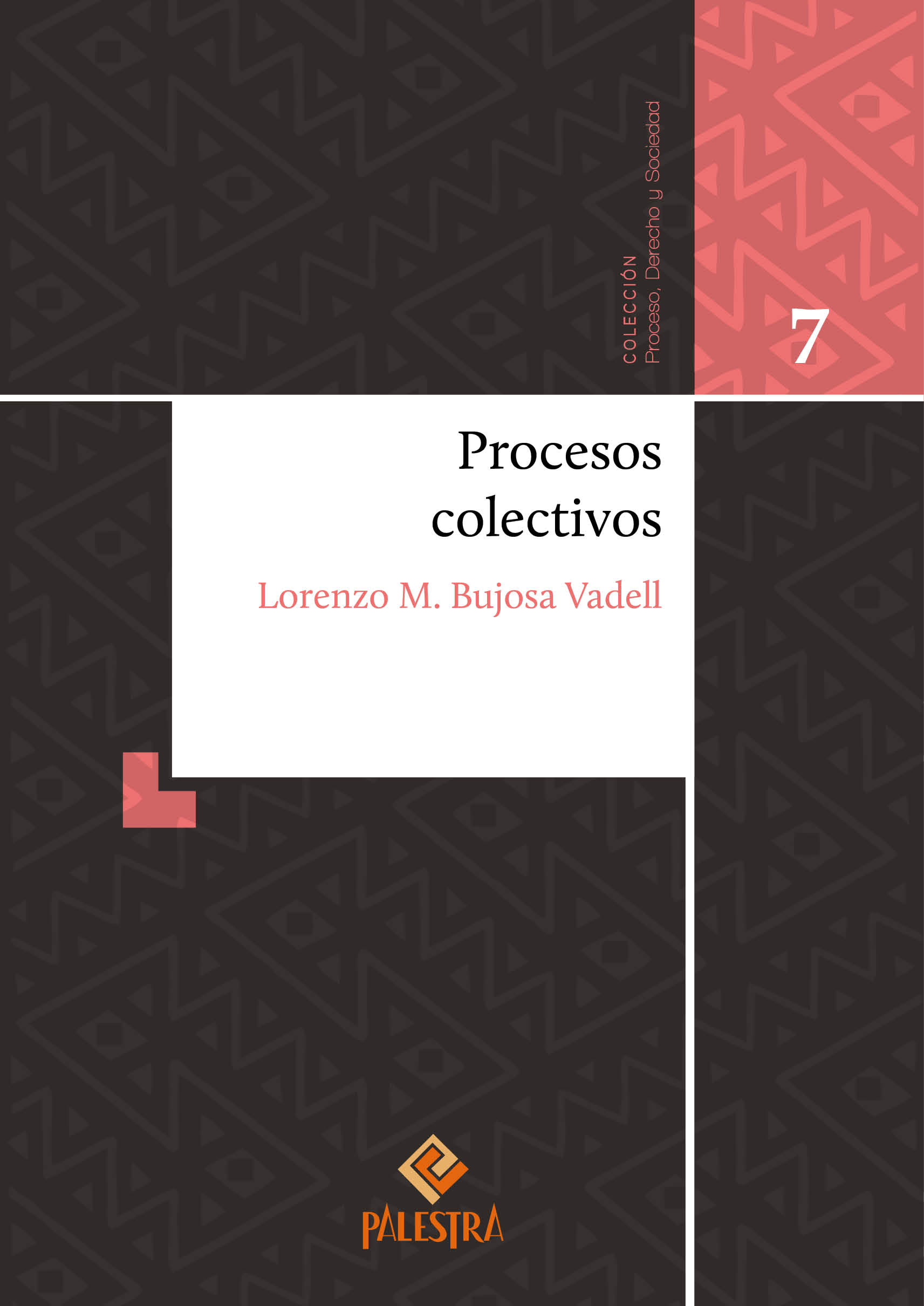 Procesos colectivos 1 Procesos colectivos 1